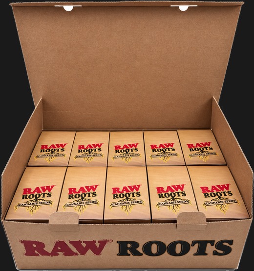 Open Raw Roots shipping case, packed with ten counter display boxes ready to ship